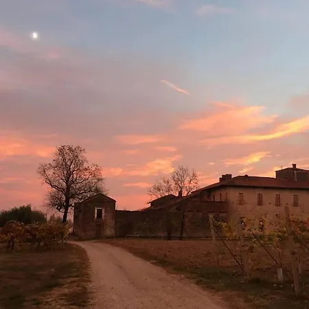 Di Design Nelle Colline Del Piemonte Villa *