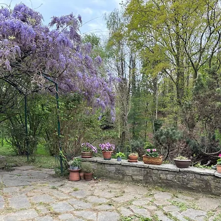 Di Design Nelle Colline Della Valsesia * Ghemme