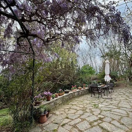 Di Design Nelle Colline Del Piemonte *