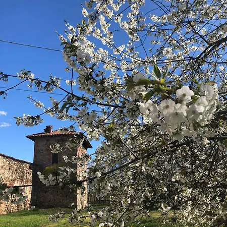 Di Design Nelle Colline Del Piemonte *