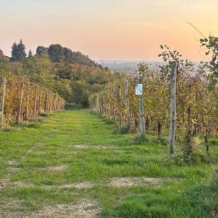 Villa Di Design Nelle Colline Del Piemonte Ghemme