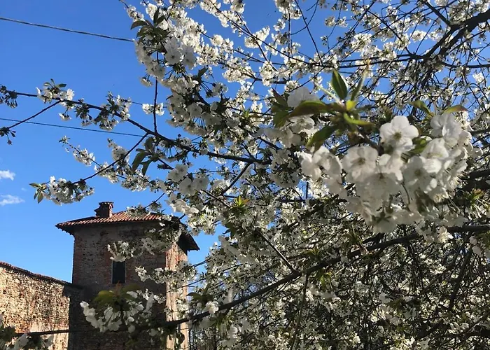 Di Design Nelle Colline Della Valsesia *